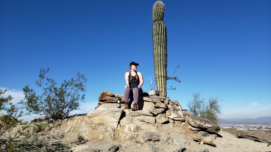 Arizona Cactus Desert